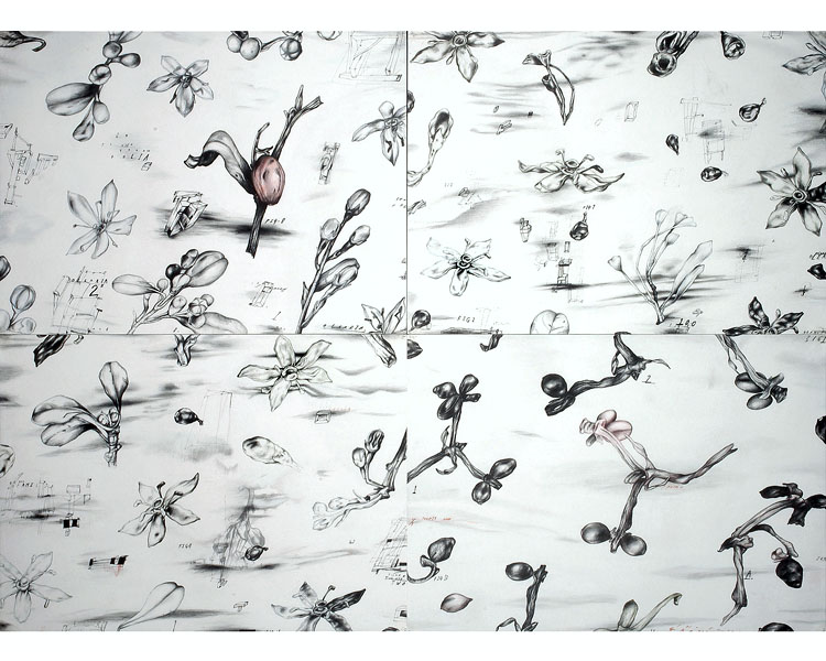 2030 X 1630 mm, 1999