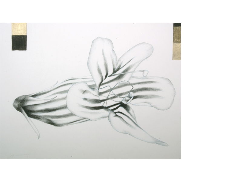 1630 X 2030 mm, 2000
