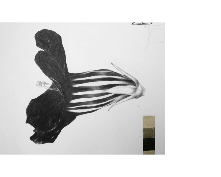 1630 X 2030 mm, 2000